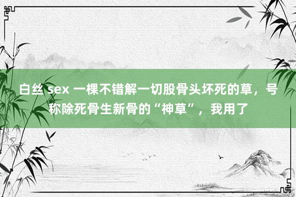 白丝 sex 一棵不错解一切股骨头坏死的草，号称除死骨生新骨的“神草”，我用了