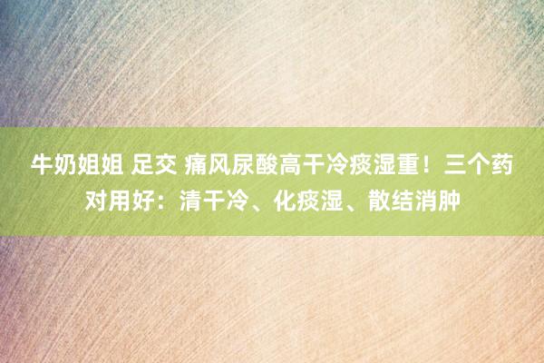 牛奶姐姐 足交 痛风尿酸高干冷痰湿重！三个药对用好：清干冷、化痰湿、散结消肿