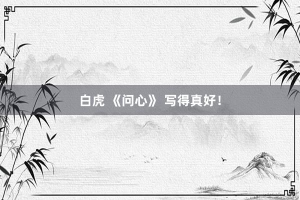 白虎 《问心》 写得真好！